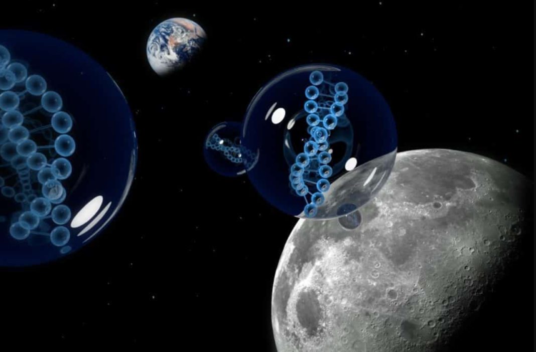 Pesquisadores dos Estados Unidos anunciaram a detecção de triptofano — aminoácido essencial para a produção de serotonina e melatonina no corpo humano — em fragmentos do asteroide Bennu (Foto; X)