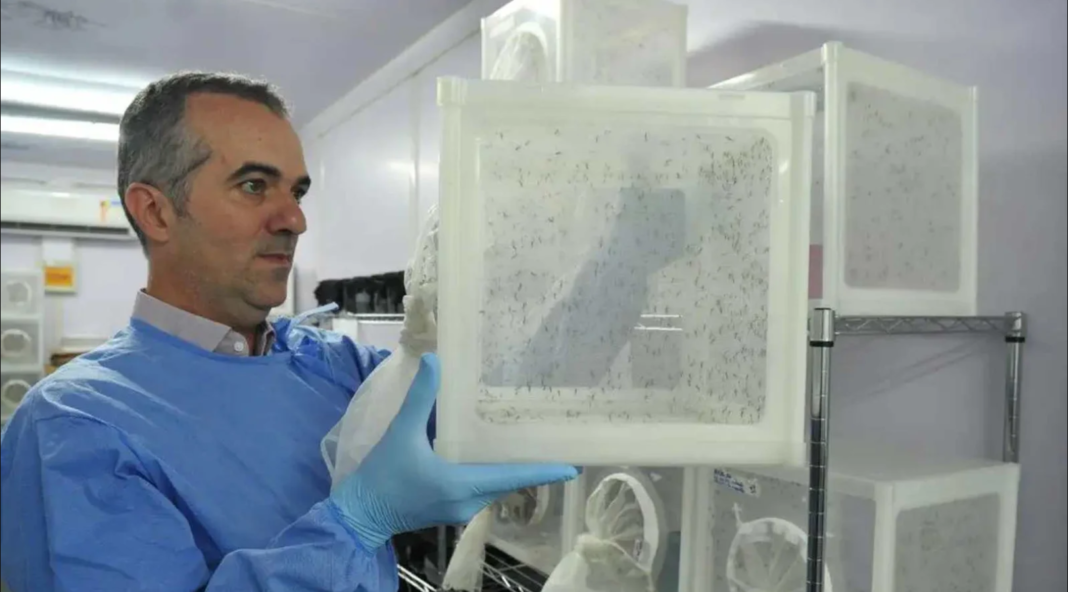 O nome do agrônomo mineiro Luciano Andrade Moreira, pesquisador do World Mosquito Program (WMP), passou a ocupar um lugar de prestígio na ciência internacional (Foto; X)