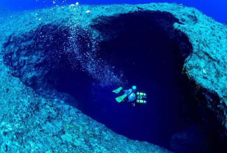 Uma região do oceano onde a luz quase não alcança começou a revelar seus segredos (Foto: X)