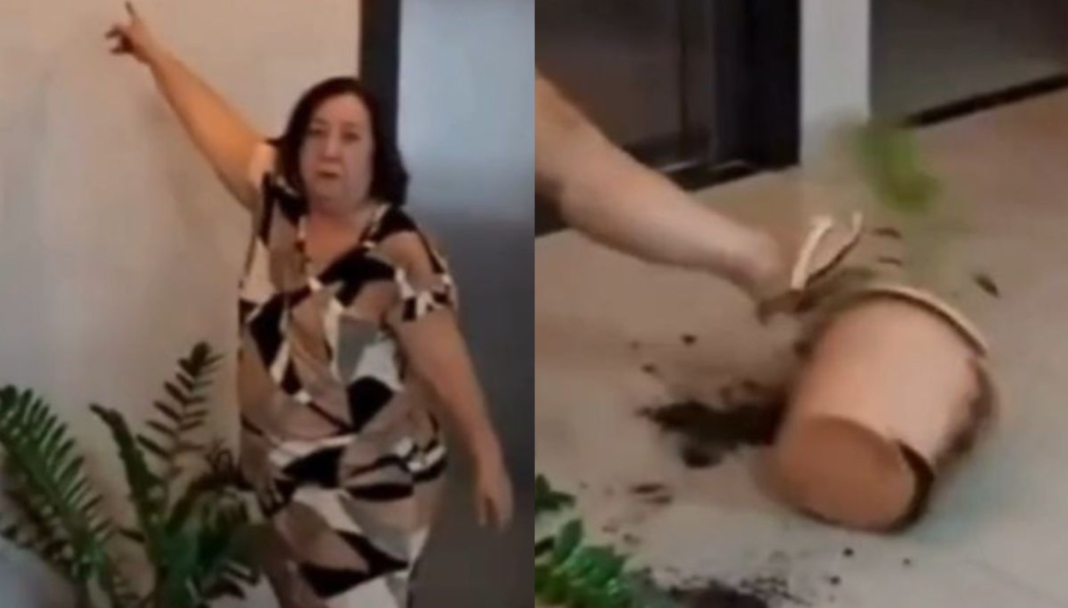 As imagens mostram Nilse em estado de forte abalo emocional, arremessando objetos e plantas que estavam na área comum do edifício (Foto: X)