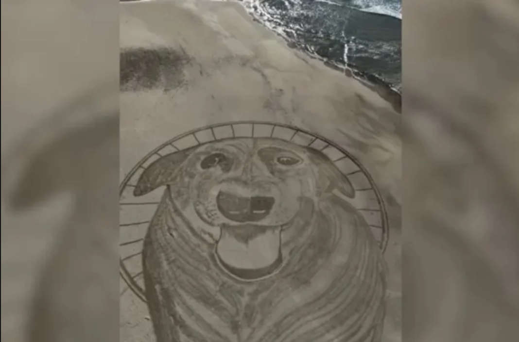 O cão comunitário Orelha, conhecido por fazer parte do cotidiano de moradores e frequentadores do litoral de Florianópolis, foi homenageado com uma obra de grandes proporções na Praia da Galheta (Foto: X)
