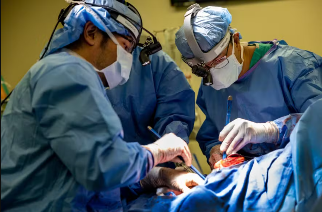 Segundo a equipe médica, os pulmões haviam se tornado o principal foco de falência orgânica, impedindo qualquer chance de recuperação do restante do organismo (Foto: X)