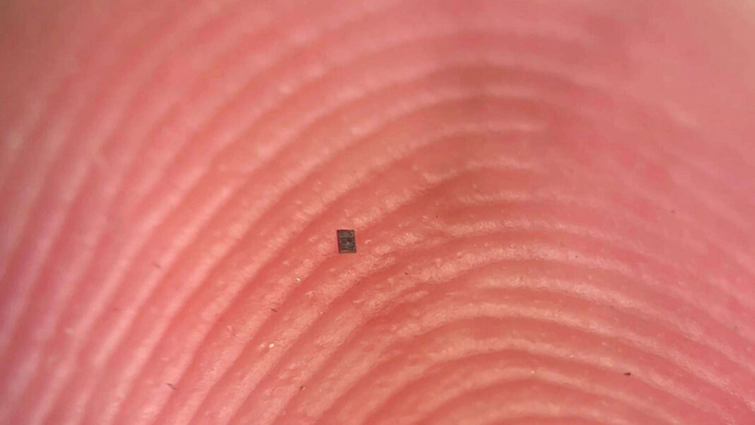 Pesquisadores norte-americanos deram um passo inédito na miniaturização da robótica ao desenvolver robôs autônomos tão pequenos que caberiam facilmente sobre um grão de sal (Foto: X)