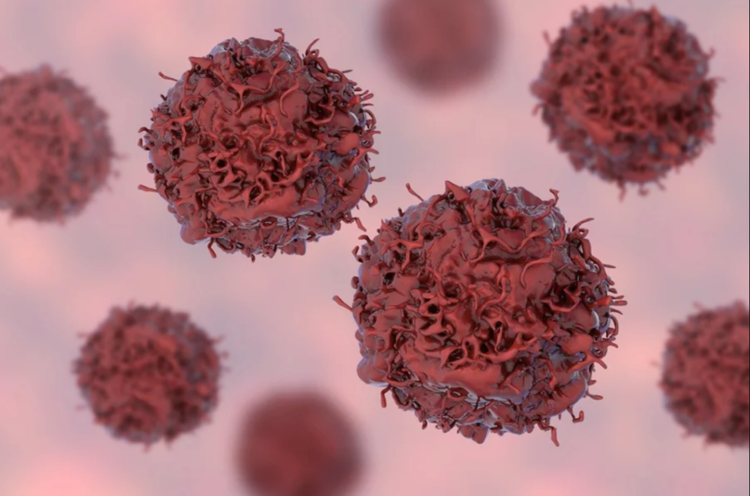 Uma nova estratégia terapêutica para tratar cânceres de cabeça e pescoço ligados ao HPV apresentou resultados promissores em fase pré-clínica (Foto: X)