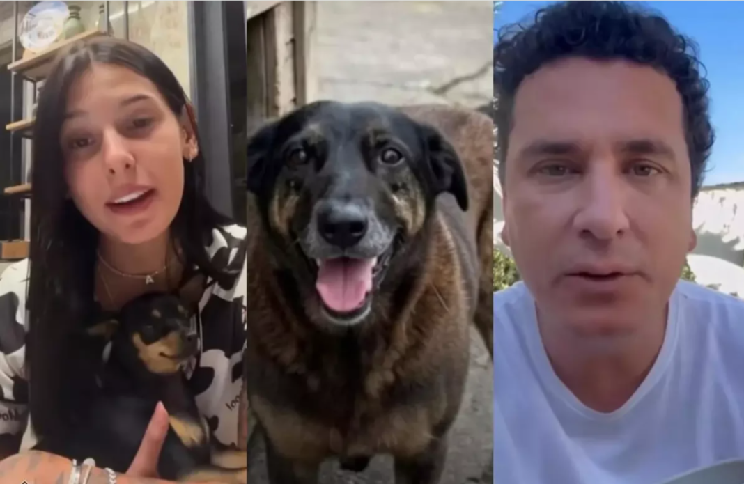 A repercussão do caso conhecido como “Cão Orelha” ultrapassou a investigação policial e passou a gerar disputas judiciais (Foto: X)