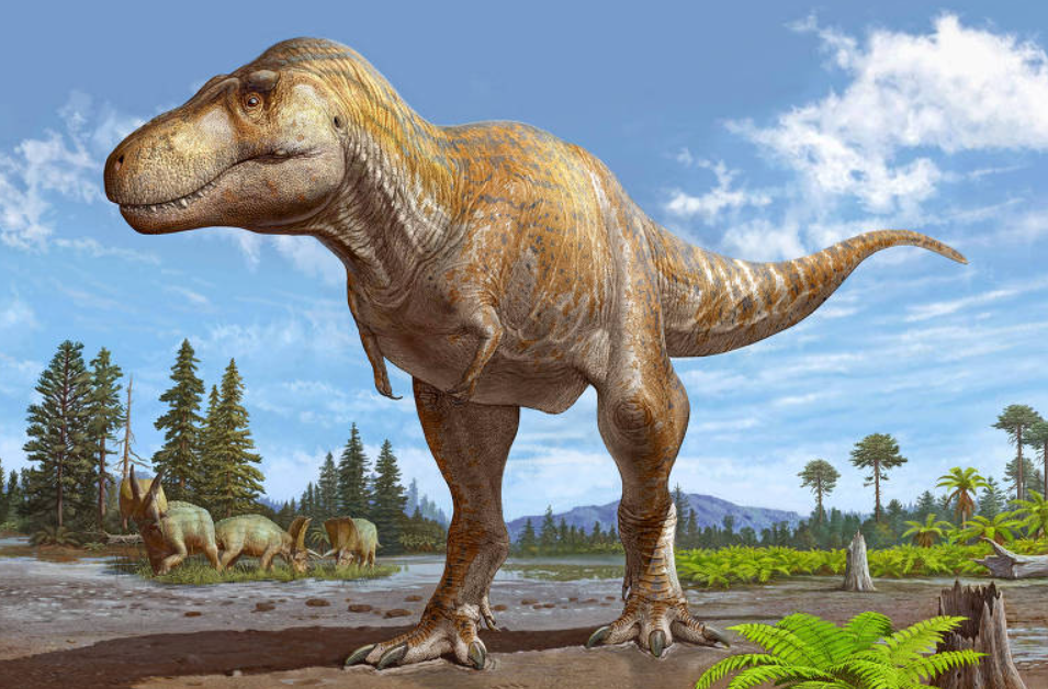 A imagem clássica do Tyrannosaurus rex como um gigante que fazia o chão tremer a cada passo pode estar equivocada (Foto: X)