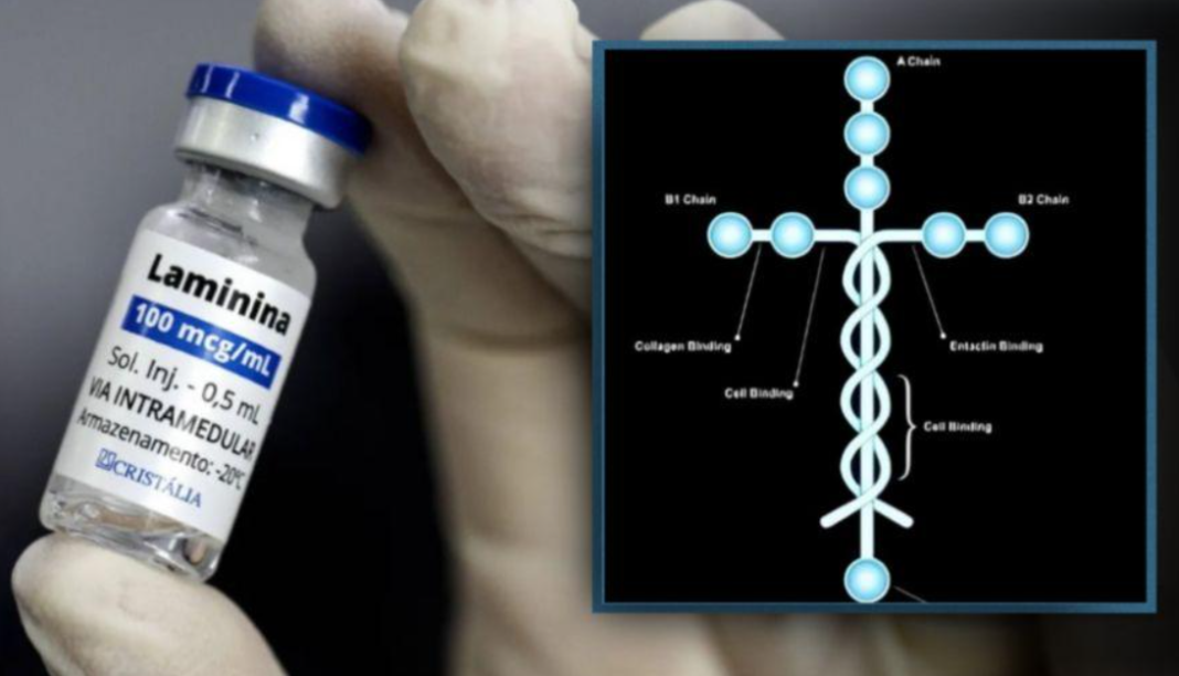 Vídeos de pacientes com lesão medular voltando a movimentar pernas e braços após o uso de uma substância experimental colocaram a polilaminina no centro das discussões nas redes sociais (Foto: X)
