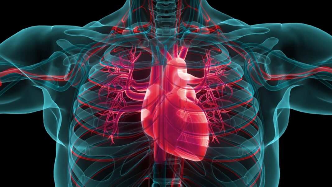Um exame pós-morte realizado nos Estados Unidos levou a uma descoberta considerada inédita na medicina humana (Foto: X)