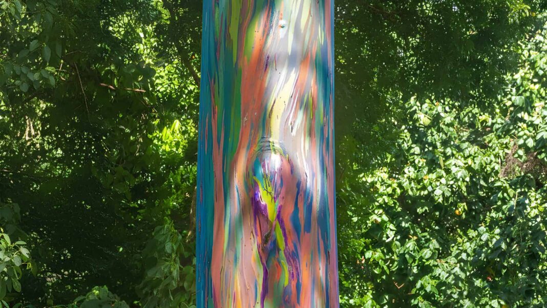 Em tempos de imagens hiper-realistas geradas por inteligência artificial, é compreensível desconfiar de fotos que parecem “boas demais para ser verdade” (Foto: X)