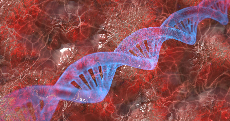 Um padrão curioso em uma família dos Estados Unidos chamou a atenção de cientistas: ao longo de mais de dois séculos, os registros genealógicos mostram uma proporção incomum de nascimentos masculinos (Foto: X)
