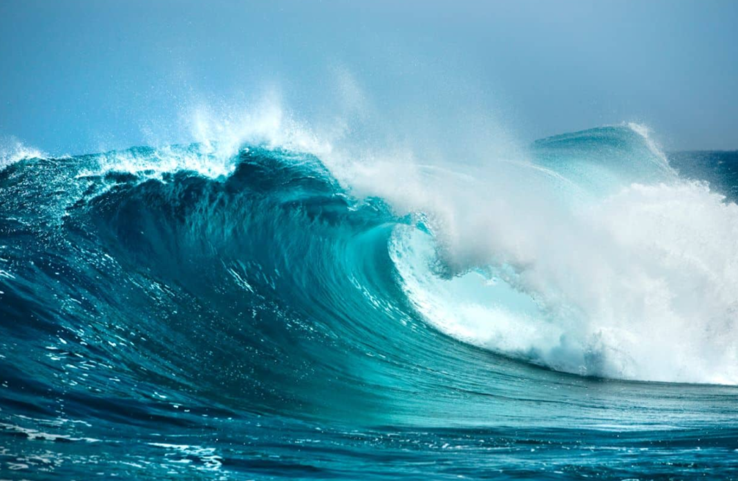 À medida que o mar se movimenta, o sistema converte essa energia mecânica em eletricidade (Foto: X)
