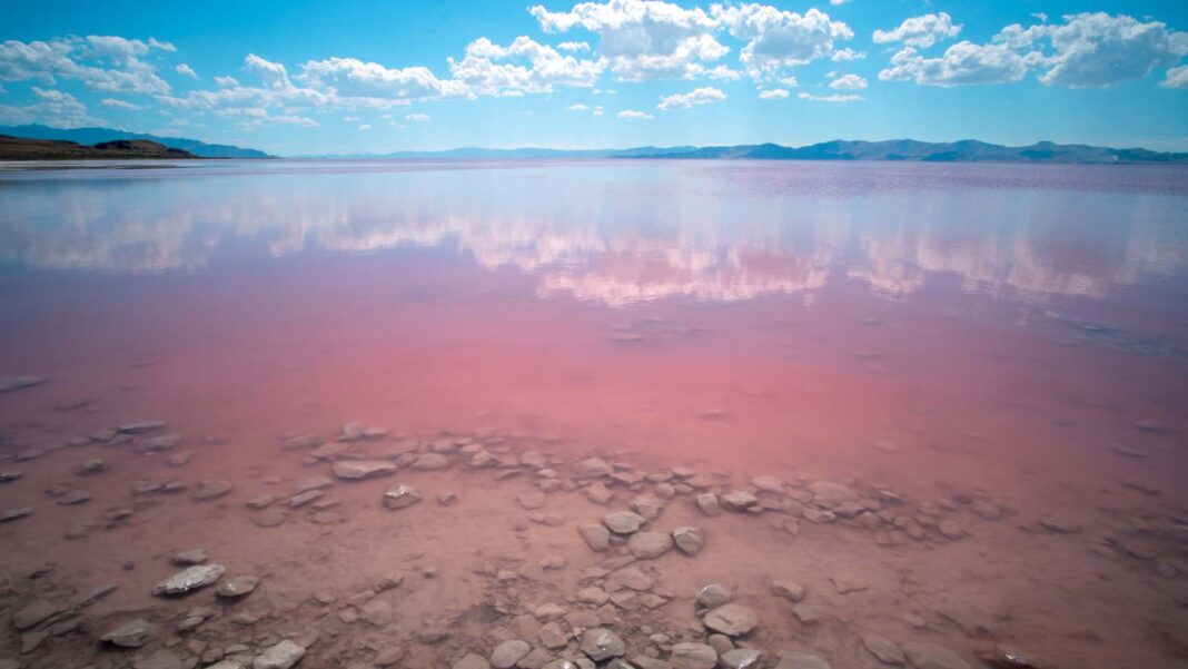 Pesquisadores identificaram um vasto reservatório de água doce escondido sob o Grande Lago Salgado, nos Estados Unidos — uma descoberta que pode mudar a forma como especialistas compreendem a dinâmica hídrica da região (Foto: X)