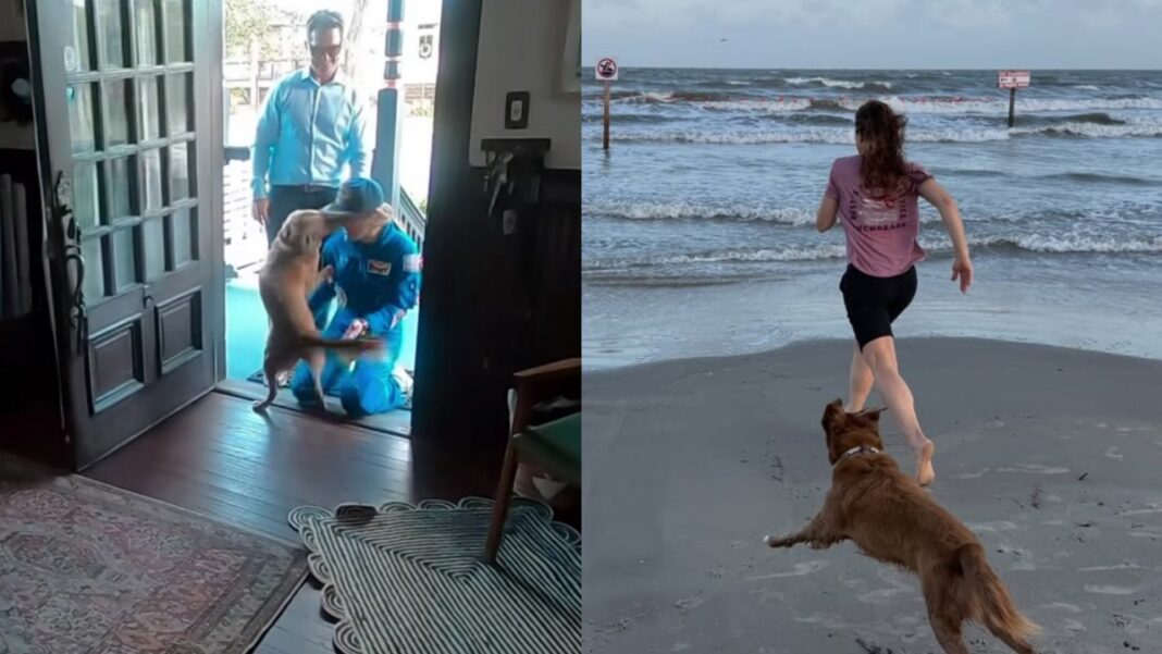 Depois de dias longe de casa em uma missão espacial, a astronauta Christina Koch protagonizou um dos momentos mais comentados das redes sociais ao compartilhar o reencontro com sua cachorra, Sadie (Foto: X)