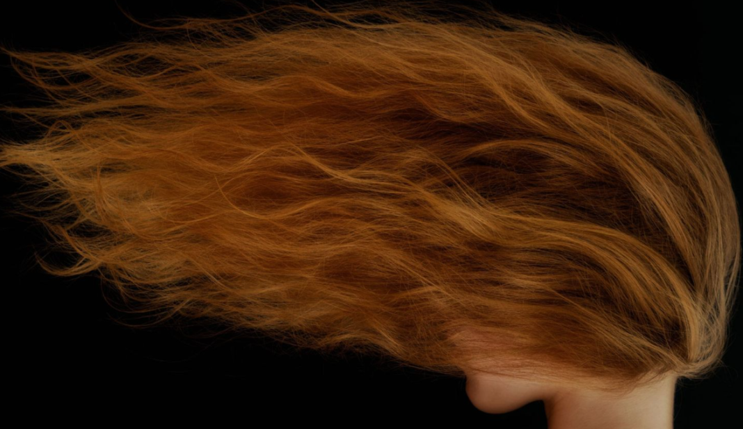 A ideia de que a evolução humana teria desacelerado vem sendo colocada em xeque por novas evidências científicas (Foto: X)