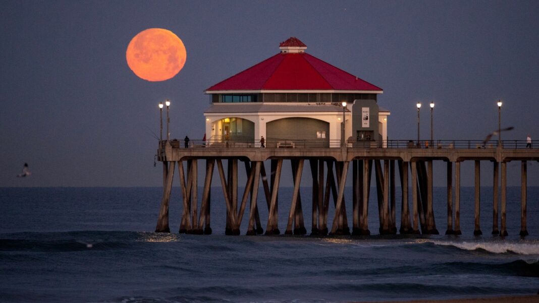 A chamada “Lua Cheia Rosa” poderá ser vista nesta quarta-feira (1º), marcando a primeira lua cheia da primavera no Hemisfério Norte e do outono no Hemisfério Sul (Foto: X)