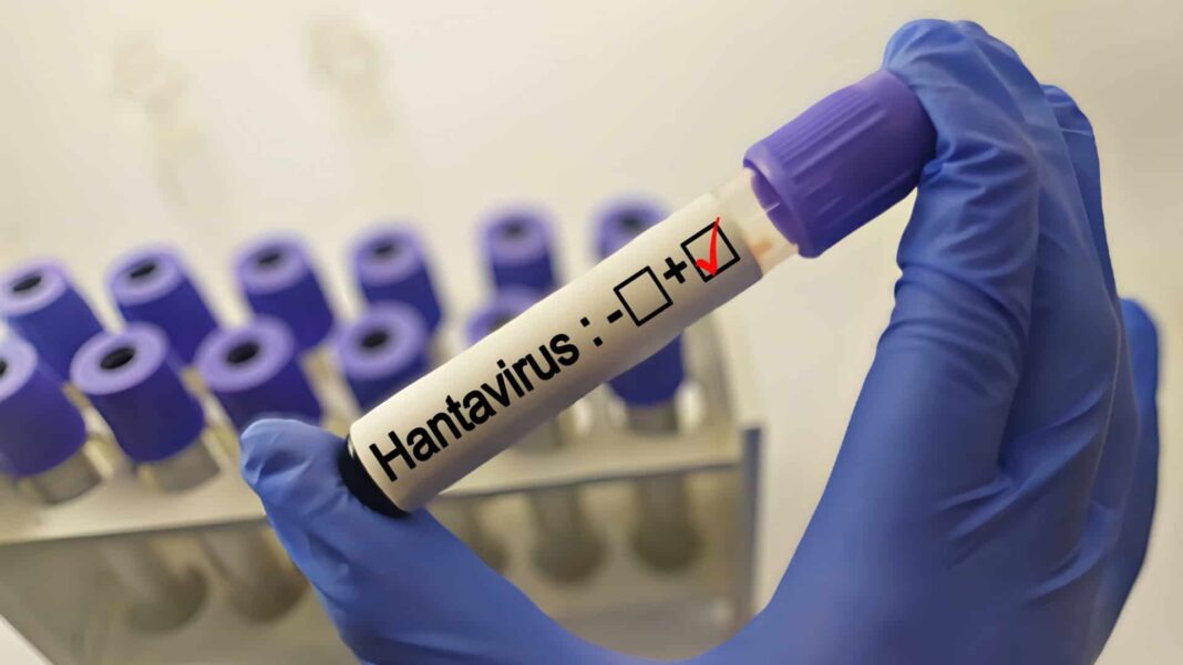 Relatos de sobreviventes do hantavírus voltaram a chamar atenção após o surto registrado no cruzeiro MV Hondius, embarcação que ficou sob monitoramento internacional depois da morte de três passageiros durante uma viagem pelo Oceano Atlântico (Foto: X)