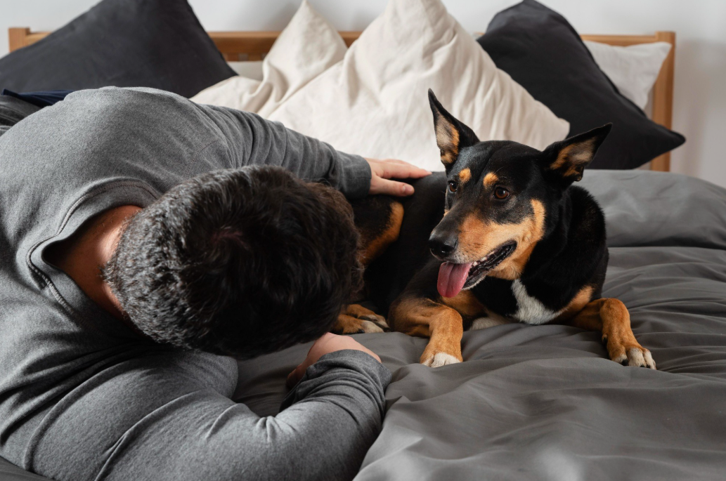 Para muitos tutores, dormir ao lado do cachorro ou do gato faz parte da rotina e representa um momento de afeto e conexão (Foto: X)