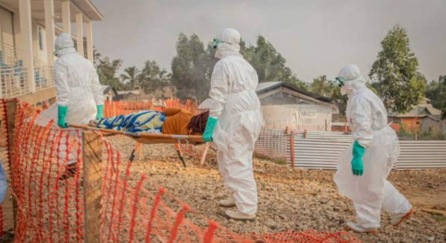 As autoridades de saúde da França confirmaram nesta quarta-feira (24) o primeiro caso de ebola registrado fora do continente africano desde o início do atual surto da doença (Foto: X)