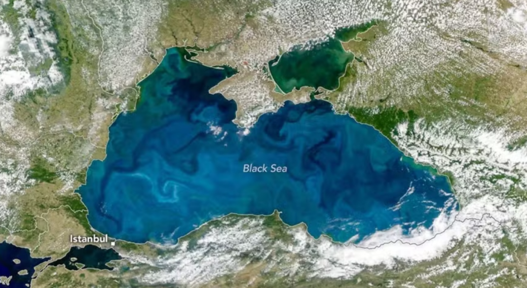 Os cocolitóforos possuem placas de carbonato de cálcio que revestem seus corpos. Essas estruturas refletem a luz solar, conferindo à água um aspecto mais claro, levemente leitoso e com tonalidade azul-turquesa (Foto: X)