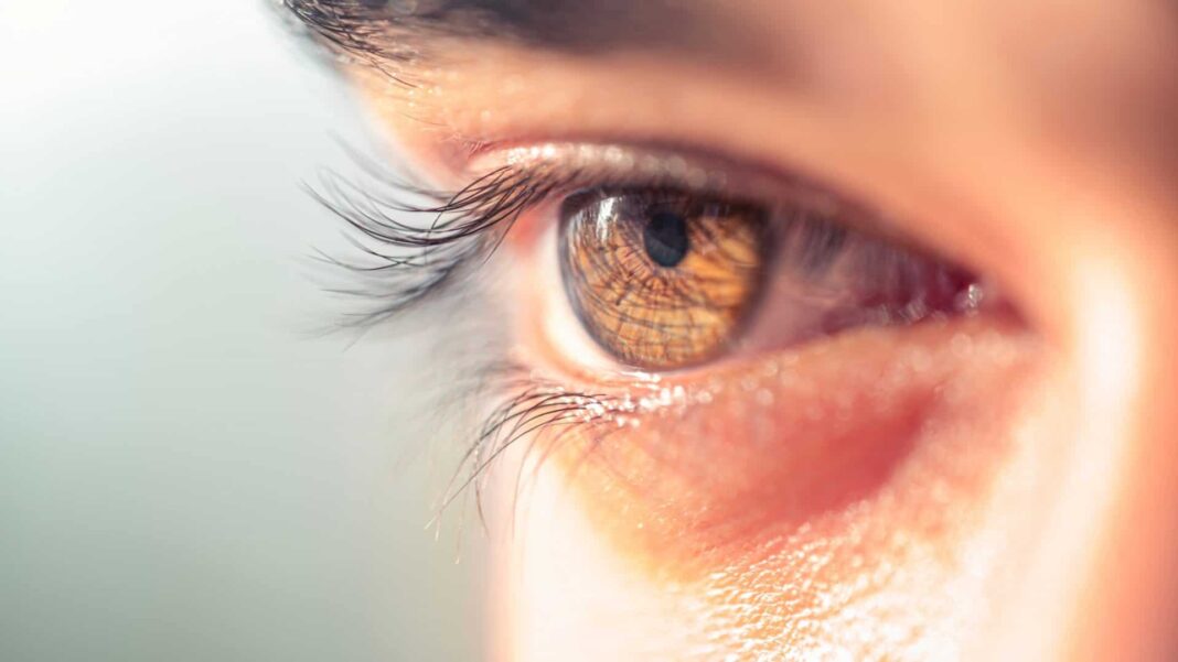 Uma pesquisa conduzida por cientistas da Universidade da Flórida, nos Estados Unidos, aponta que a retina pode se tornar uma importante aliada na identificação precoce de fatores associados ao desenvolvimento da doença de Alzheimer (Foto: X)