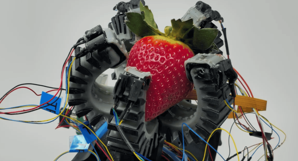 Pesquisadores desenvolveram uma mão robótica capaz de colher frutas delicadas sem amassá-las, utilizando inteligência artificial, visão computacional e sensores táteis para identificar o momento ideal da colheita (Foto; X)