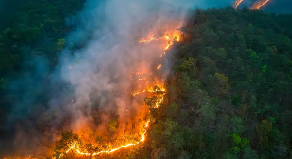 A tecnologia deve ganhar um papel importante no combate às queimadas na Amazônia (Foto: X)