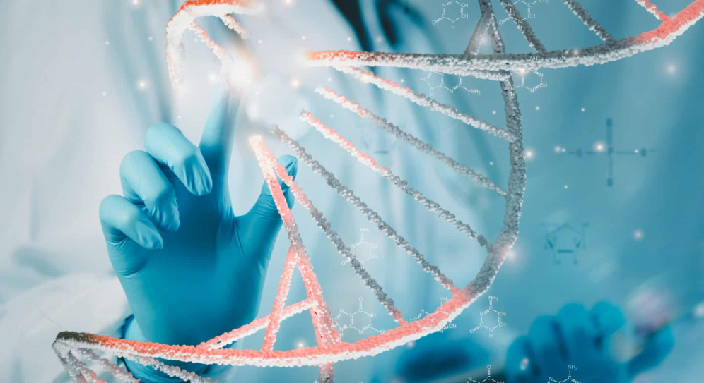 Pesquisadores desenvolveram uma ferramenta baseada em inteligência artificial (IA) capaz de aumentar a precisão da edição genética e reduzir significativamente alterações indesejadas no DNA (Foto: X)
